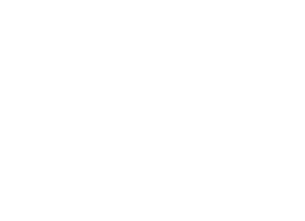 Lighter Capital Logo